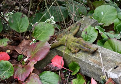 Blažim, Omnium, 2020