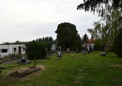 Blažim, Omnium, 2020