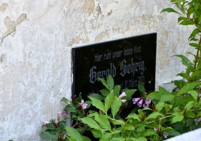 Blažim, Omnium, 2018