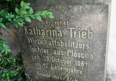 Blažim, Omnium, 2018