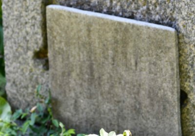 Blažim, Omnium, 2018