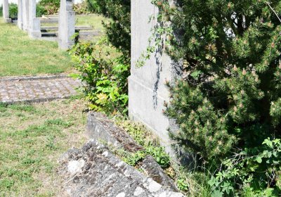 Blažim, Omnium, 2018