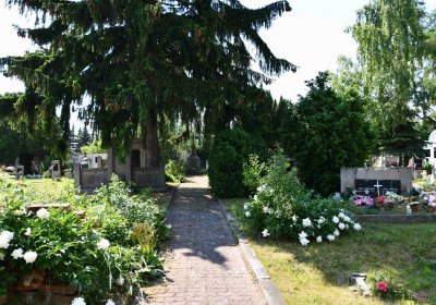 Blažim, Omnium, 2018