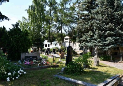 Blažim, Omnium, 2018