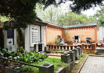 Braňany, Omnium, 2020