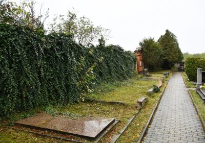 Braňany, Omnium, 2020