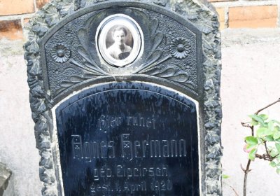 Braňany, Omnium, 2020