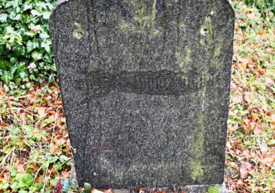 Braňany, Omnium, 2020