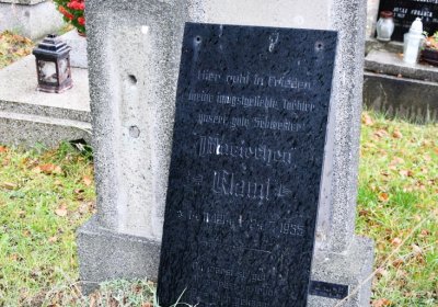 Braňany, Omnium, 2020