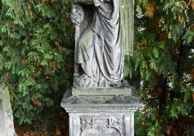 Braňany, Omnium, 2020