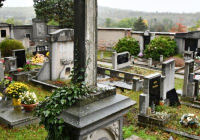 Braňany, Omnium, 2020