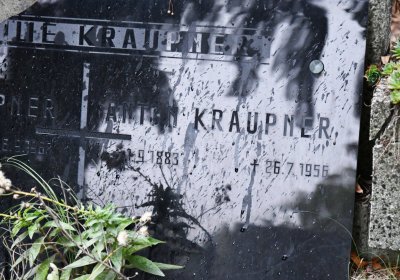 Braňany, Omnium, 2020