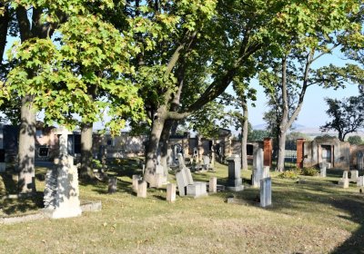 Břvany, Omnium, 2020