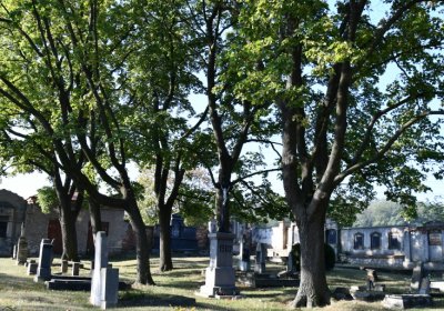 Břvany, Omnium, 2020