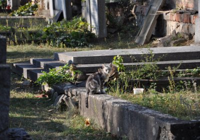 Břvany, Omnium, 2020