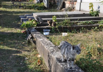 Břvany, Omnium, 2020