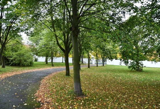 České Zlatníky, Omnium, 2020