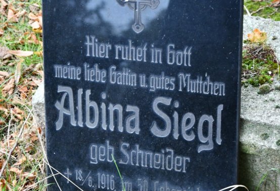 Havraň, Omnium, 2020