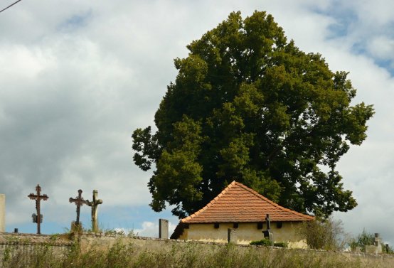 Omnium, 2016