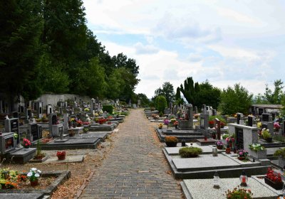 Křemýž, Omnium, 2018