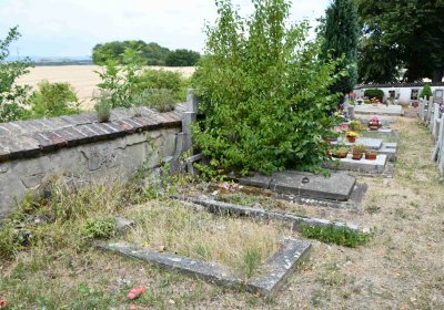 Křemýž, Omnium, 2018