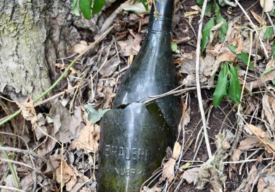 Křemýž, Omnium, 2018