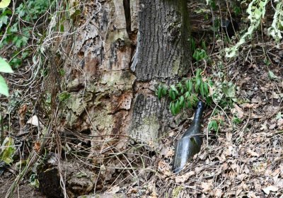 Křemýž, Omnium, 2018