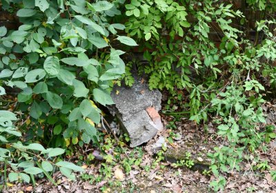 Křemýž, Omnium, 2018