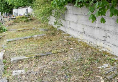 Křemýž, Omnium, 2018