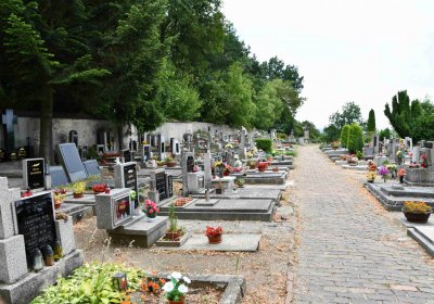 Křemýž, Omnium, 2018