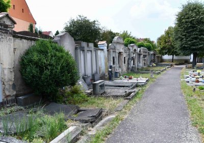 Ledvice, Omnium, 2018