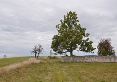 Malý Háj, Omnium, 2020