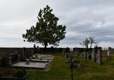 Malý Háj, Omnium, 2020