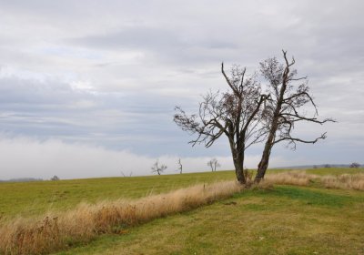 Malý Háj, Omnium, 2020