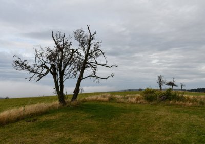 Malý Háj, Omnium, 2020