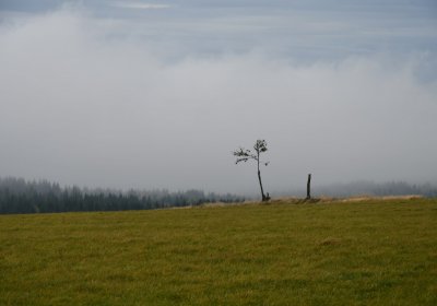 Malý Háj, Omnium, 2020