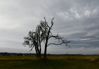 Malý Háj, Omnium, 2020