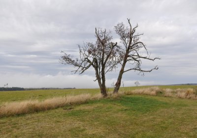 Malý Háj, Omnium, 2020