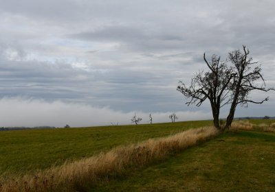 Malý Háj, Omnium, 2020