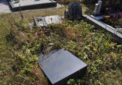 Malý Háj, Omnium, 2018