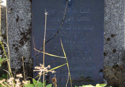 Malý Háj, Omnium, 2018