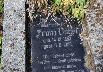 Malý Háj, Omnium, 2018