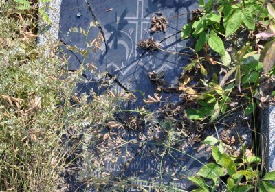 Malý Háj, Omnium, 2018