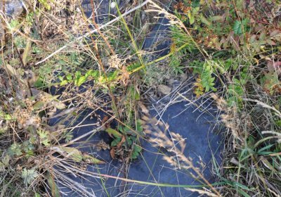 Malý Háj, Omnium, 2018