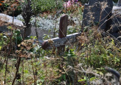 Malý Háj, Omnium, 2018