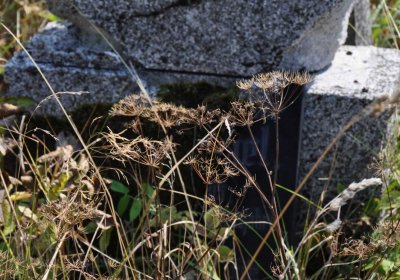 Malý Háj, Omnium, 2018