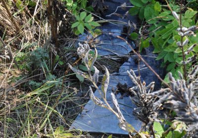 Malý Háj, Omnium, 2018