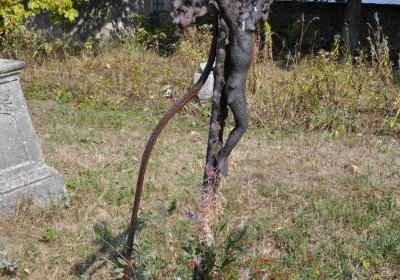 Malý Háj, Omnium, 2018