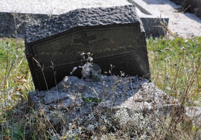 Malý Háj, Omnium, 2018