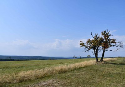 Malý Háj, Omnium, 2018